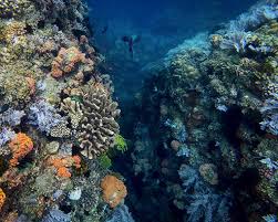 Twin Rocks Marine Sanctuary